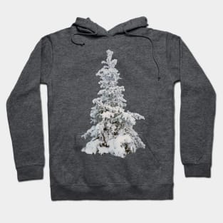 Frosty snow covered tree - winter spruce Hoodie